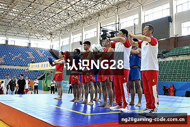 认识NG28